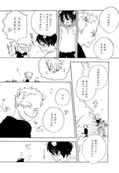 おとぎの森のとらきつね 7