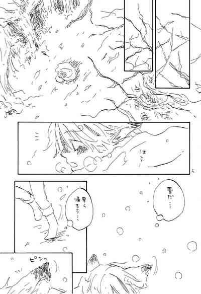 海の虹が沈む森 4
