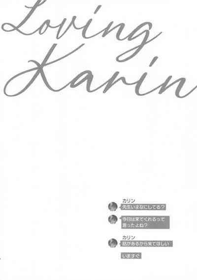 Loving Karin 3