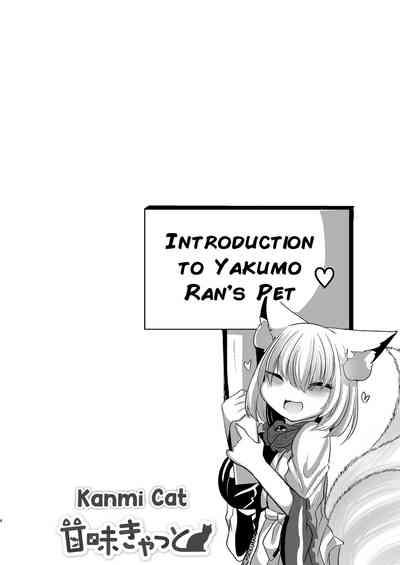 Yakumo Ran ga Seishori Pet to Tawamureru Hon 4