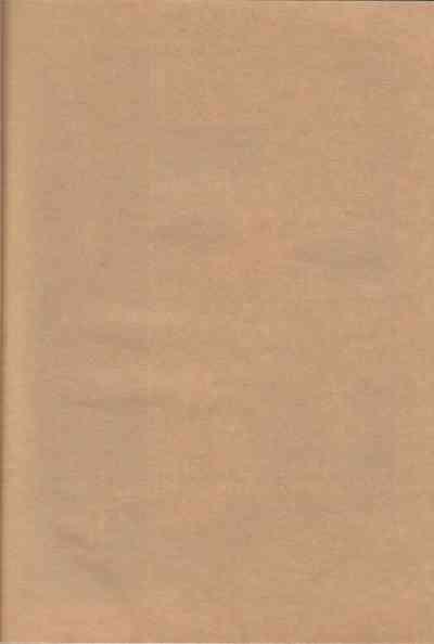 Isekai de, Dōgyōsha to Futari Kiri. 2