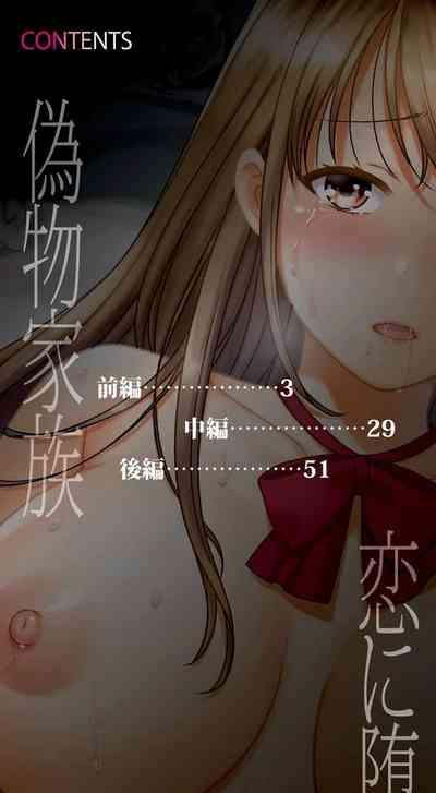 Nisemono Kazoku2 3