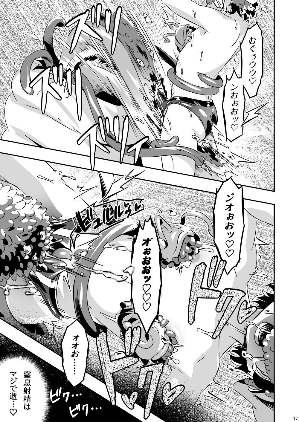 Mamoru's Mission 15