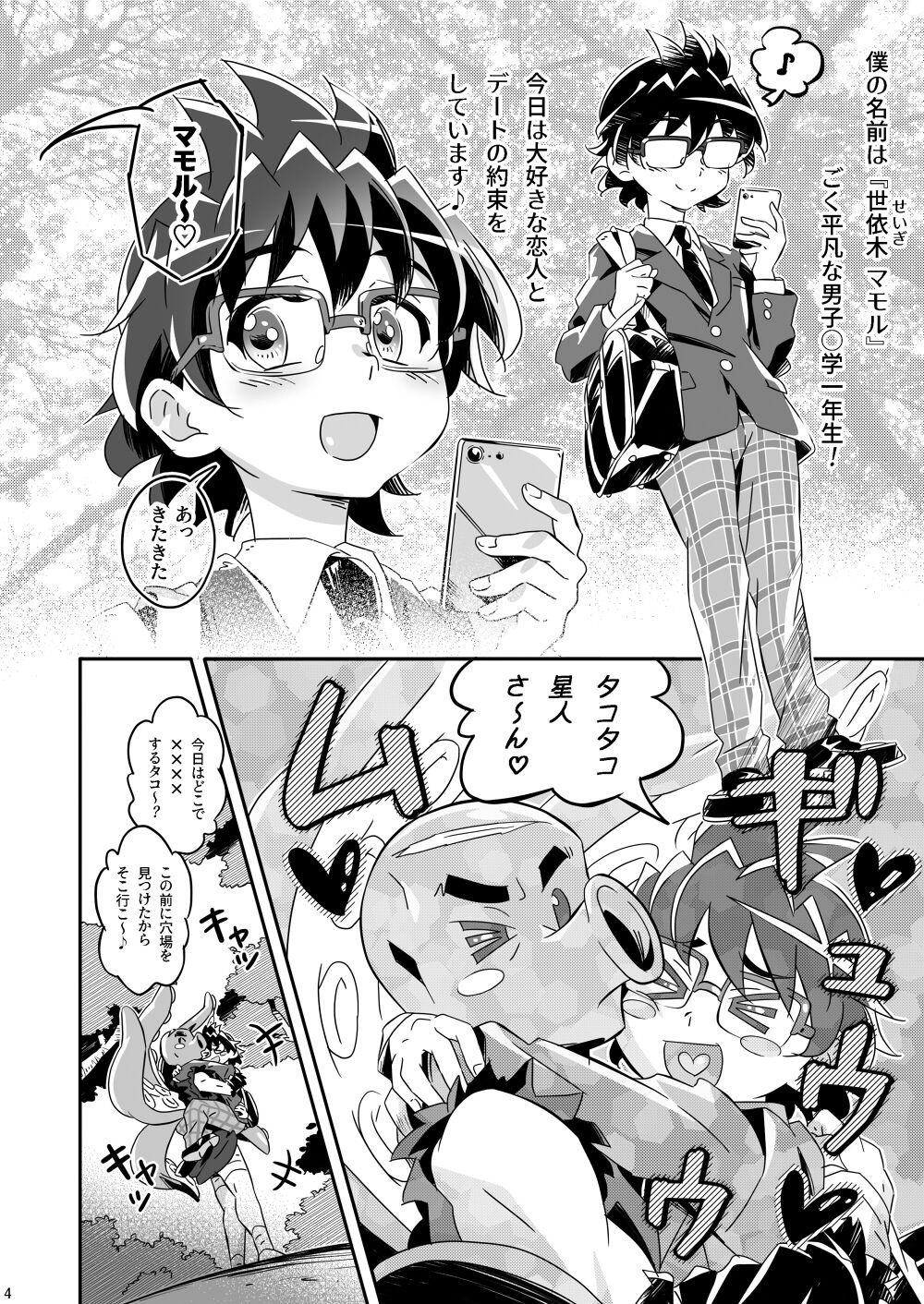 Mamoru's Mission 2