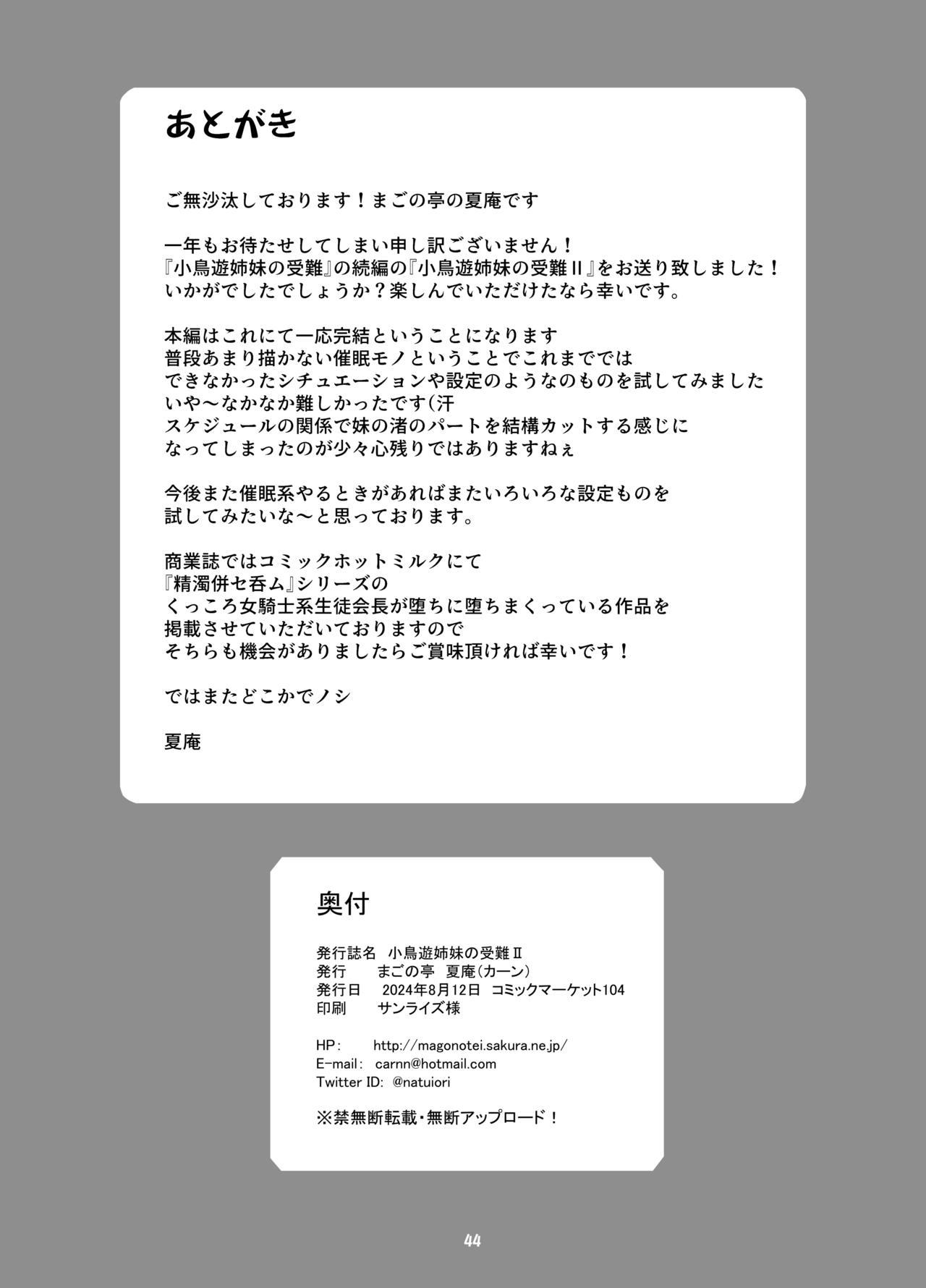 Takanashi Shimai no Junan II - saimin sisters - Page 46